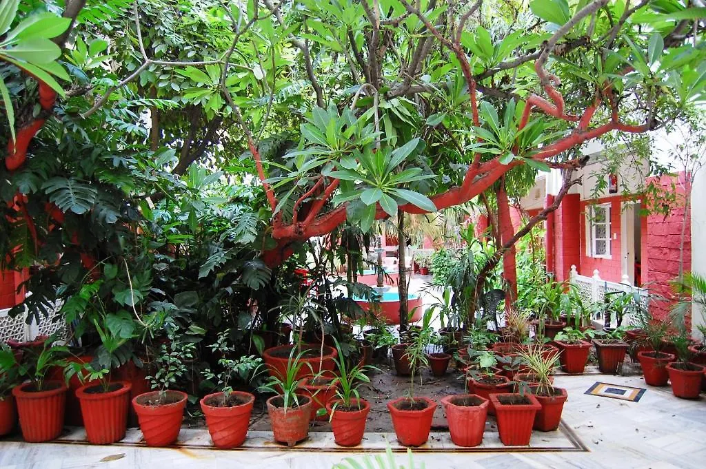 Hotel Tourist Rest House Agra India